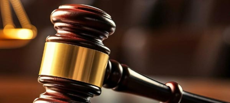 법인파산 신청 급증··· 대표이사의 …